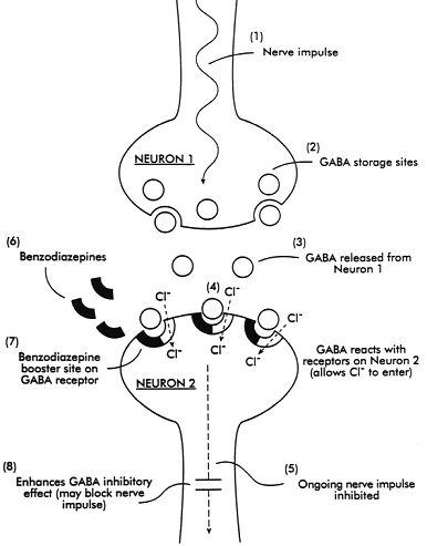 Klonopin Mechanism Of Action